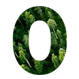 O